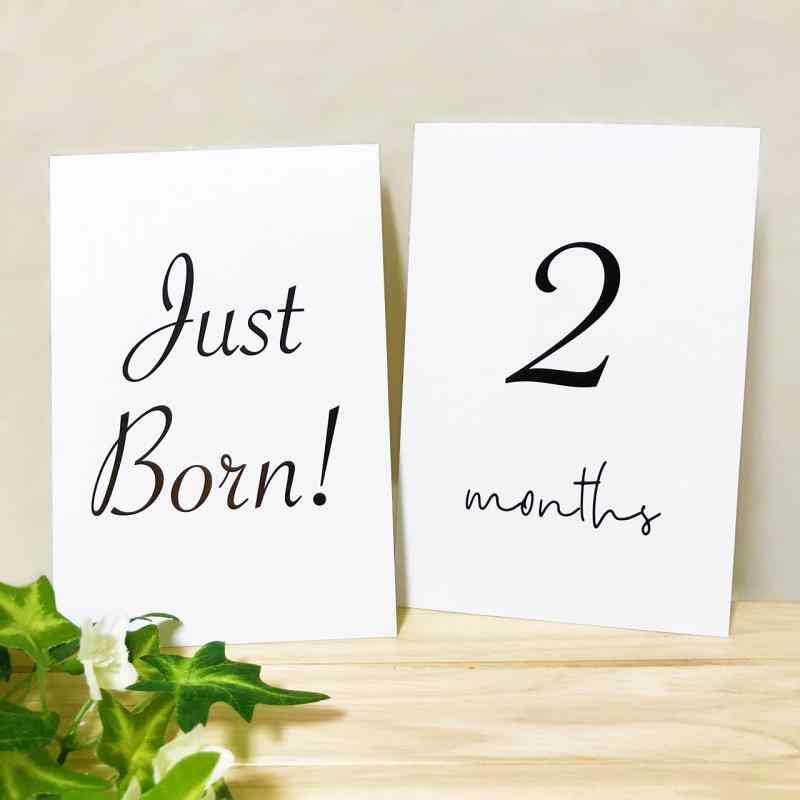 BabyCal マンスリーカード ハガキサイズ／16面8枚セット 月齢フォト 月齢カード 男の子 女の子 出産祝い (シンプル)