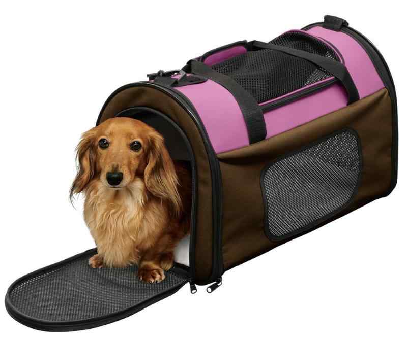 オーヤマ 犬 猫 キャリー 折りたたみ 収納付 シートベルト固定可 ピンク 小型犬 Mサイズ